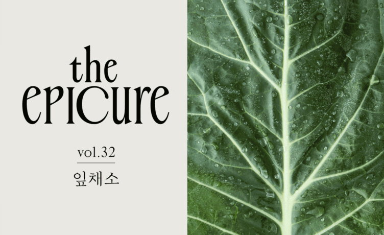 [the epicure] 샐러드 속 잎채소가 말을 건넬 때