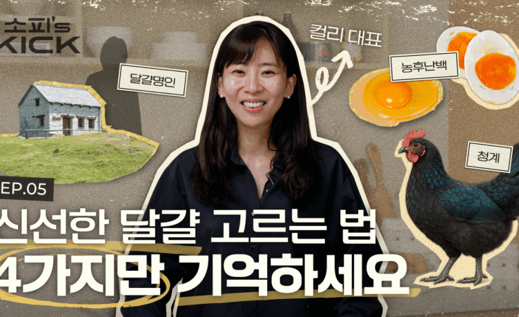 [소피’s kick 시즌 2] 써니사이드업으로 기분 업! 소문난 소피의 달걀 사랑