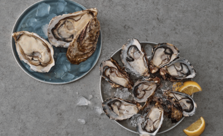 [이주의 신상] 19화 : 간편하고 편안한 컬리온리 신상