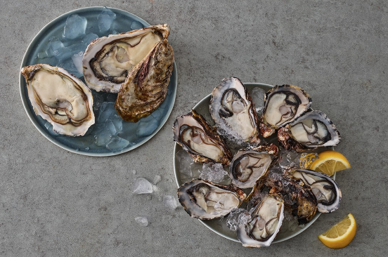 [이주의 신상] 19화 : 간편하고 편안한 컬리온리 신상