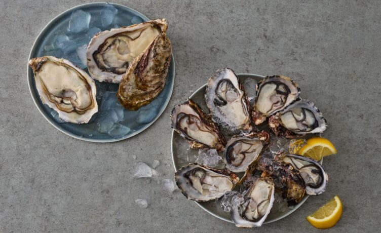 [이주의 신상] 19화 : 간편하고 편안한 컬리온리 신상