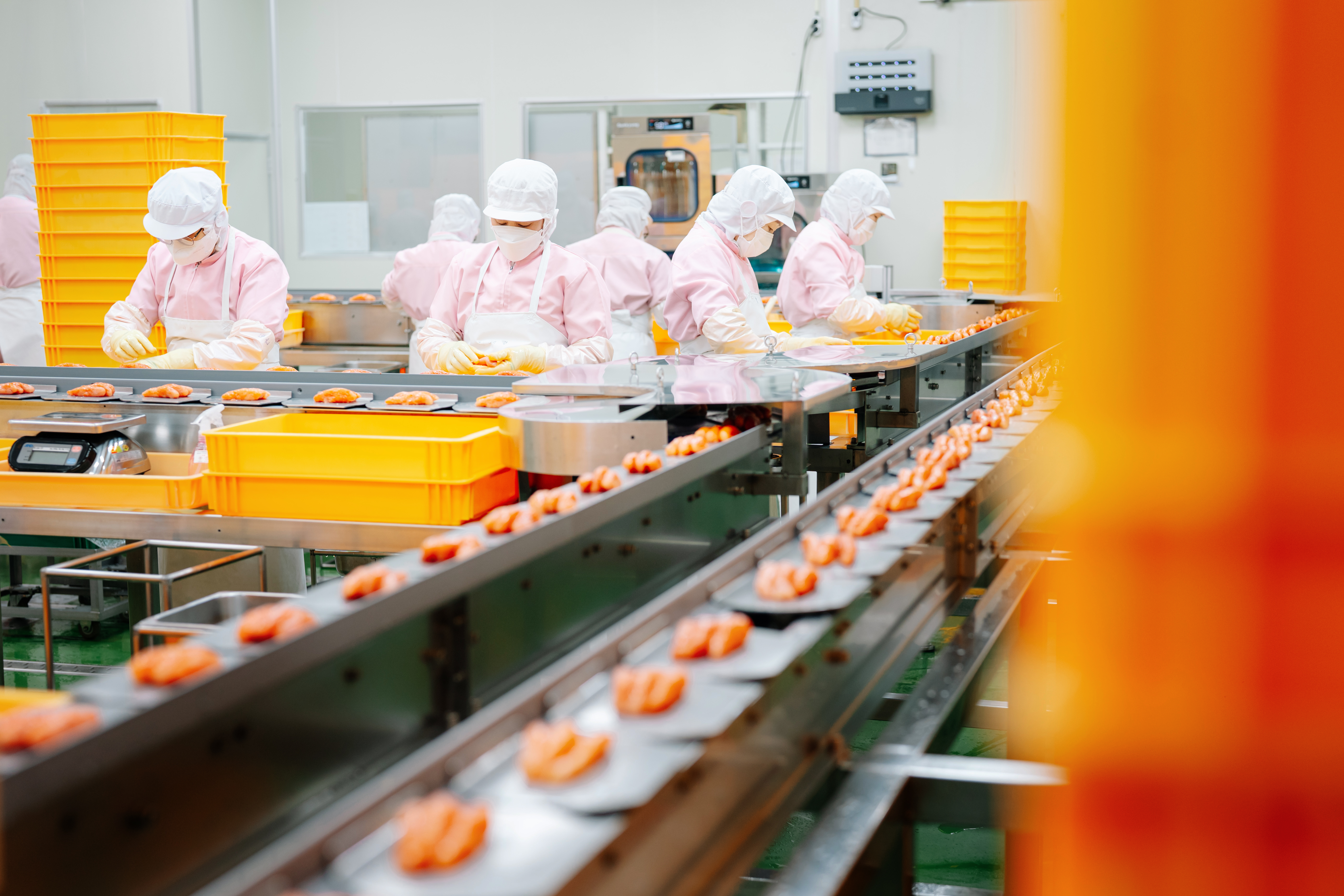 2 1 Image0024 복사