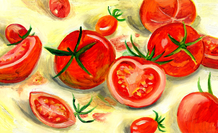 [제철 그림 편지] 7월의 토마토